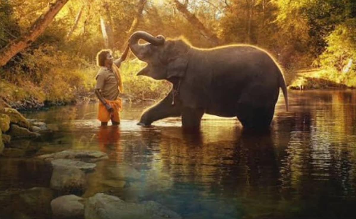 The Elephant Whisperers: Director dedicates Oscar to ‘motherland India’